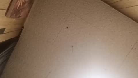 mjmichaelware online show from 24, 2, 2026