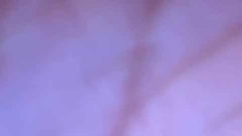 mmmtara online show from 19, 12, 2025