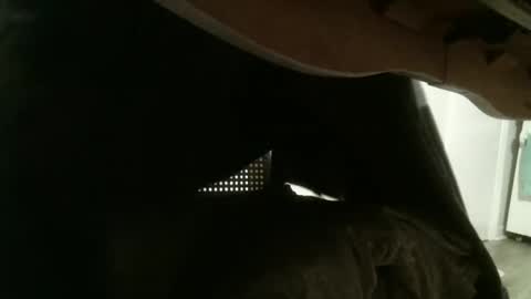 mmrstp online show from 26, 1, 2025