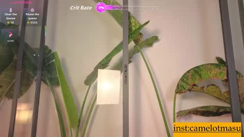 mnommnom online show from 27, 3, 2026