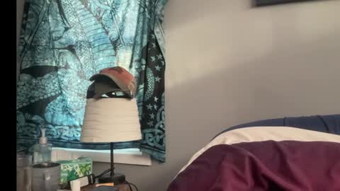 MNTuiLa online show from 13, 1, 2025