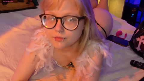 moliqin online show from 25, 5, 2026