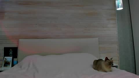 Molly Hunt online show from 1, 3, 2026