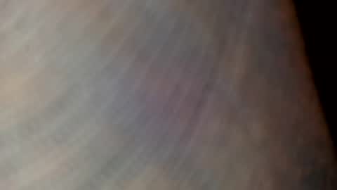 mommabearanpoppabear850 online show from 4, 12, 2025