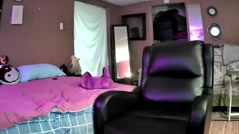 Bink online show from 31, 1, 2025