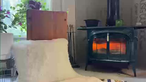 Mia  online show from 9, 9, 2025