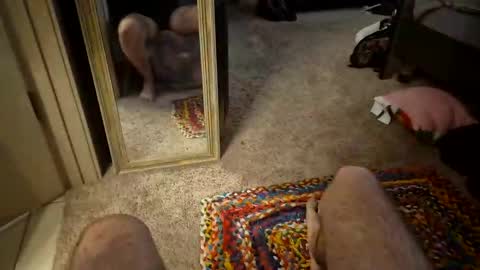 MonMon online show from 19, 12, 2024