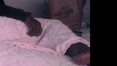 montydxxx2 online show from 3, 2, 2026