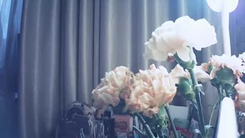 moodiemira online show from 12, 3, 2026