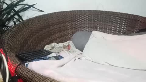 Snapshot of moreno_lutador chatting on 17, 2, 2025 John john online show from 17, 2, 2025