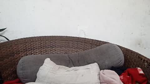 Snapshot of moreno_lutador chatting on 5, 3, 2025 John john online show from 5, 3, 2025