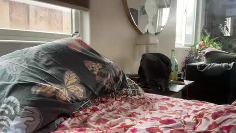 Snapshot of moreplease413 chatting on 27, 12, 2024 moreplease413 online show from 27, 12, 2024