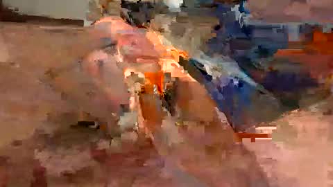 Flying Bird online show from 18, 1, 2026