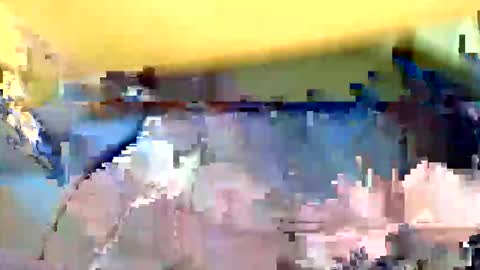 mountfort1967 online show from 22, 5, 2026