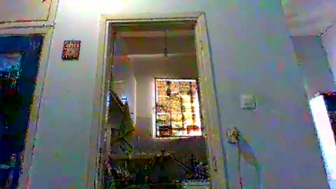 mppempis81 online show from 3, 2, 2026