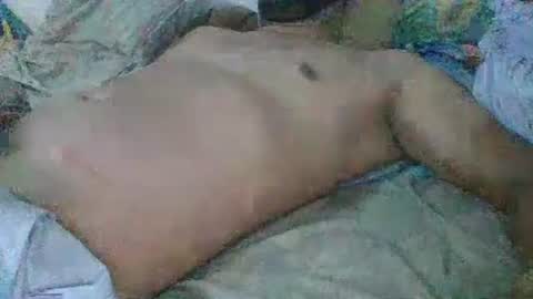 Gato online show from 31, 12, 2024