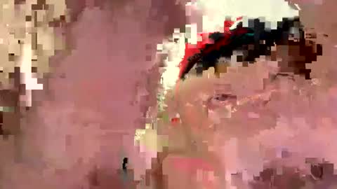 mrfrankfuckforfree online show from 11, 12, 2024