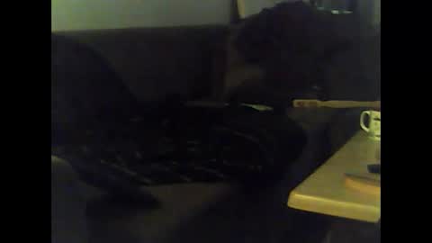 Nikola online show from 12, 1, 2025