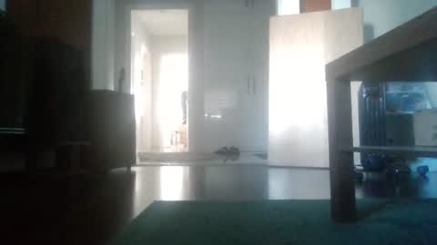 Nikola online show from 6, 2, 2026