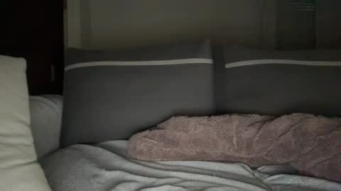 YourLad online show from 8, 1, 2026