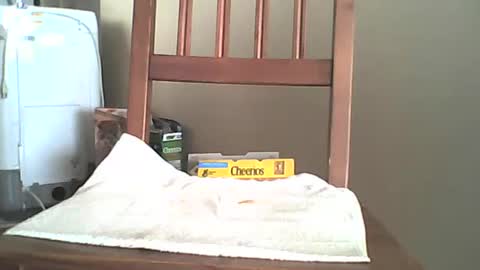 Snapshot of mrroarke chatting on 6, 10, 2025 Longshot online show from 6, 10, 2025