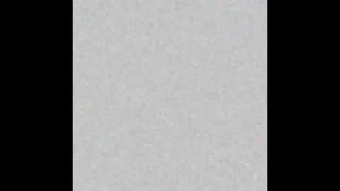 Mr Suction online show from 5, 12, 2025