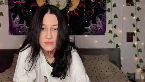 Dita online show from 28, 2, 2026