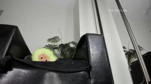 Goddess. Miss. Lady.  Queen. Madam Milady online show from 28, 2, 2026