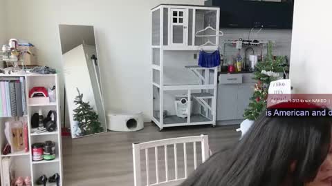 R o r i  SnapChat heyroriv2 wednesday - sunday Noon oclock mountain - 5pm mountain online show from 1, 11, 2025