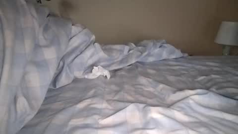 Laly online show from 6, 1, 2025