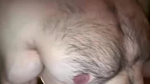 musclehair3 online show from 11, 3, 2026