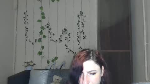 Jeneva online show from 19, 5, 2026