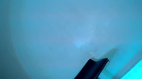 Serena online show from 8, 2, 2025