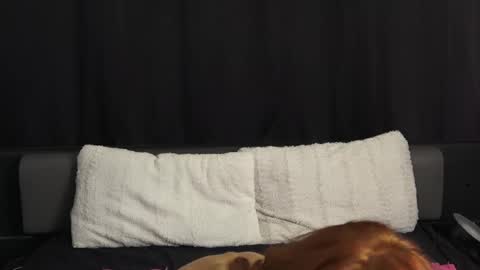 mymiesexy online show from 11, 9, 2025