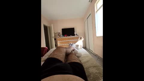 Snapshot of mysterbearmg chatting on 27, 9, 2025 mysterbearmg online show from 27, 9, 2025