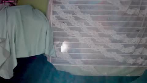 NAJI  online show from 17, 1, 2026