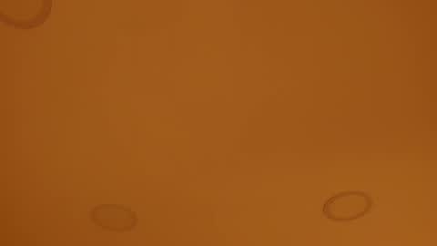 INSTAGRAM  m2221     online show from 8, 4, 2026