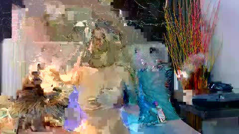 NALAROY online show from 3, 12, 2024