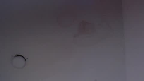 NALAROY online show from 12, 3, 2025