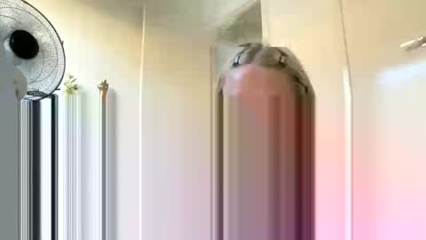 Snapshot of naomianderrsonx chatting on 1, 10, 2025 Naomi Anderrson online show from 1, 10, 2025