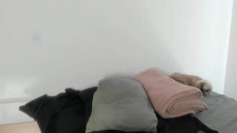 Naomi Moore online show from 17, 1, 2026