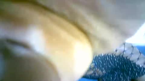 Marie online show from 13, 9, 2025