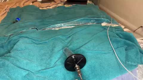 nastyknave online show from 10, 10, 2025