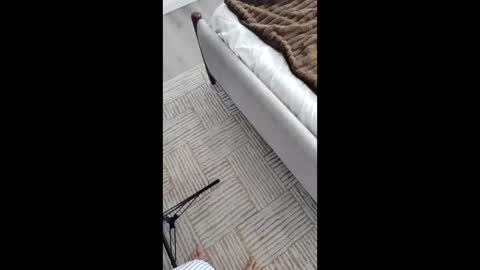 Asian Milf Show online show from 17, 11, 2025