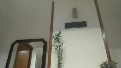 nata1974 online show from 3, 3, 2026