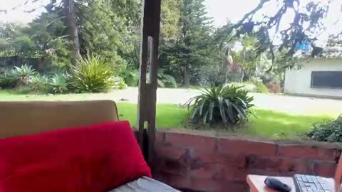 Snapshot of natashadiamondd chatting on 23, 6, 2026 NatashaDiamond online show from 23, 6, 2026