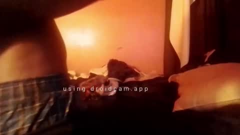 Snapshot of nathanbutler0 chatting on 31, 10, 2025 nathanbutler0 online show from 31, 10, 2025