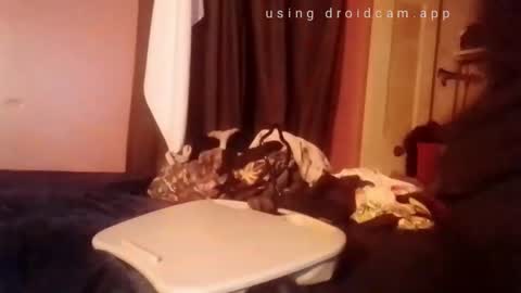 Snapshot of nathanbutler0 chatting on 1, 11, 2025 nathanbutler0 online show from 1, 11, 2025