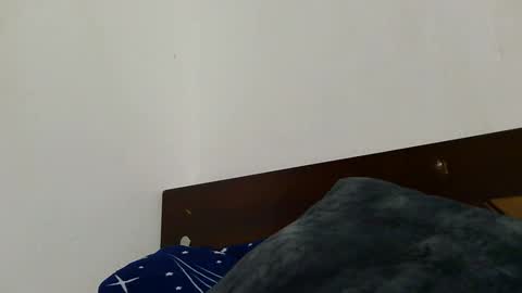 natalia online show from 11, 5, 2026