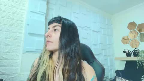 Kitten online show from 22, 11, 2025